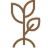 Jardins Secrets : Arbre fruitier