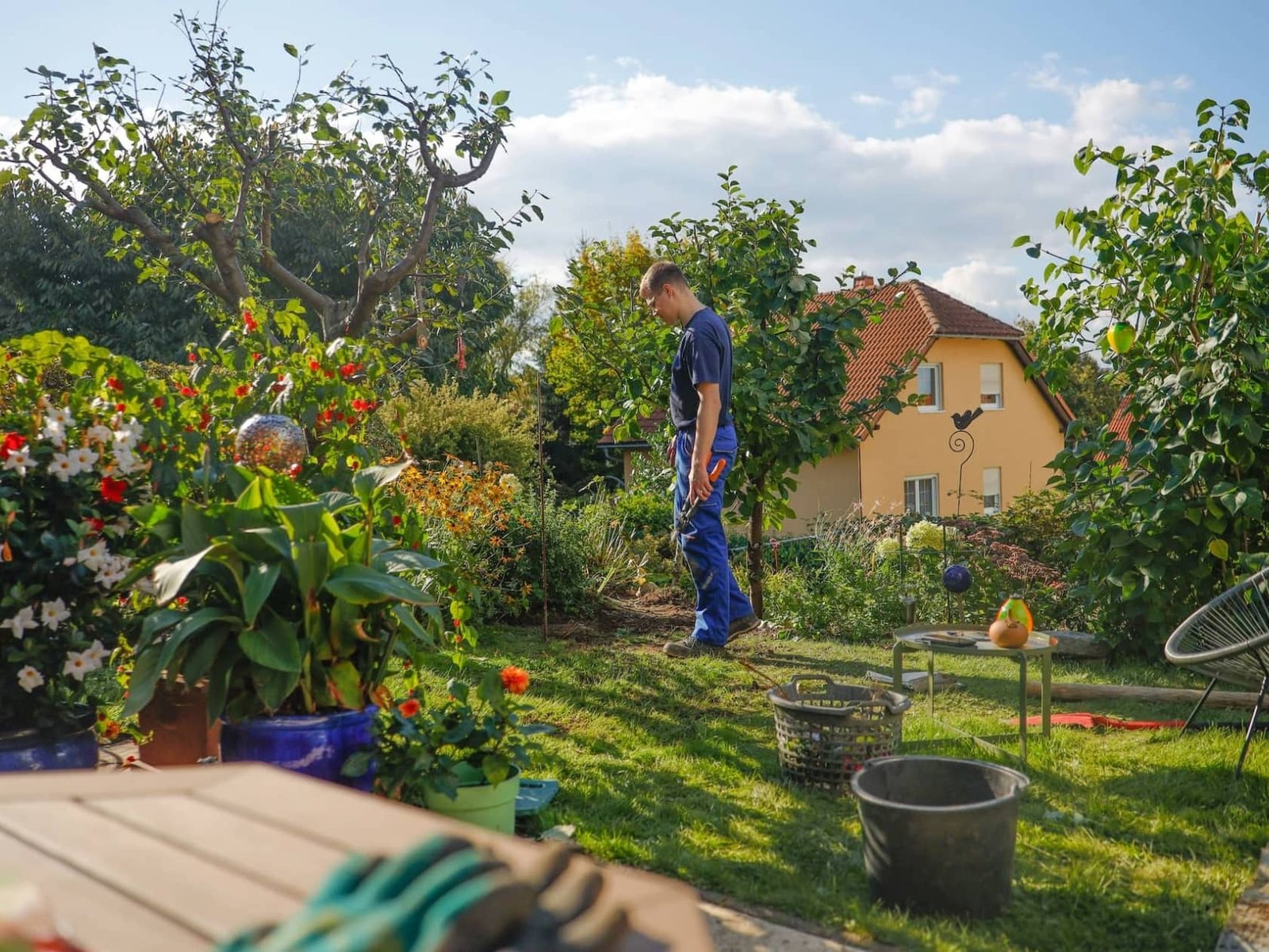 Entretenir son jardin toute l’année : les bonnes pratiques