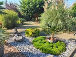 Jardins Secrets : entretien jardin à Durningen