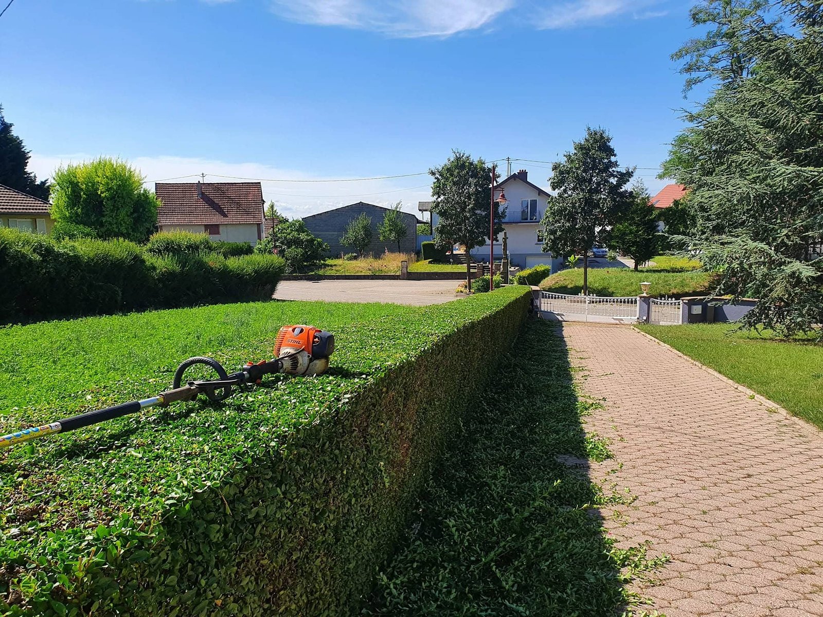 Jardins Secrets : taille haie à Huttendorf